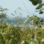 Ferienbauernhof Liesenberg Bauernhauswohnung Landliebe Lejlighed