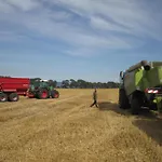 Lejlighed Ferienbauernhof Liesenberg Bauernhauswohnung Landliebe Femern