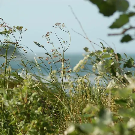 Ferienbauernhof Liesenberg Bauernhauswohnung Landliebe Apartmán