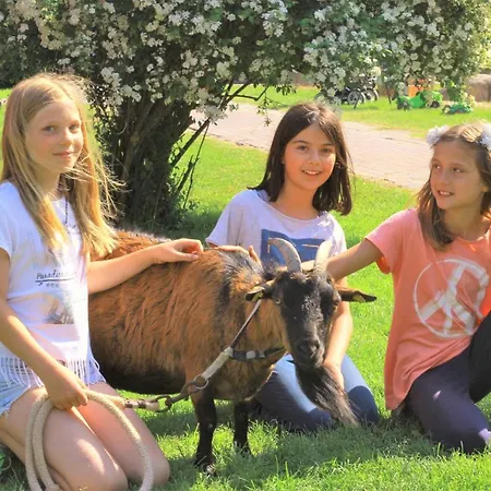 Ferienbauernhof Liesenberg Bauernhauswohnung Landliebe