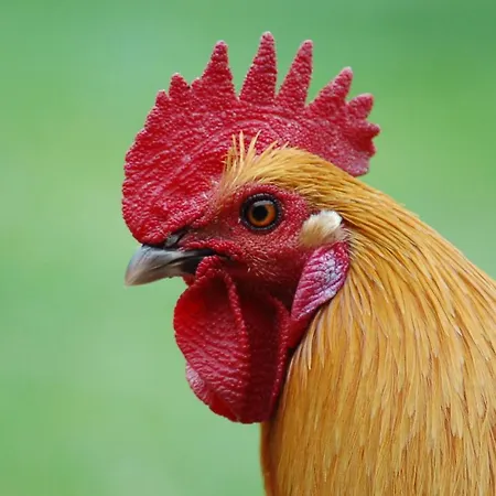Ferienbauernhof Liesenberg Bauernhauswohnung Landliebe Apartmán *