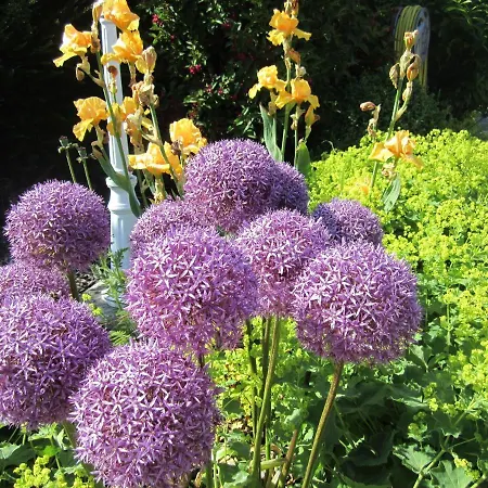 Ferienbauernhof Liesenberg Bauernhauswohnung Landliebe