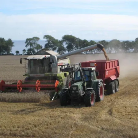 Apartmán Ferienbauernhof Liesenberg Bauernhauswohnung Landliebe *
