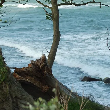 Ferienbauernhof Liesenberg Bauernhauswohnung Landliebe Apartmán *