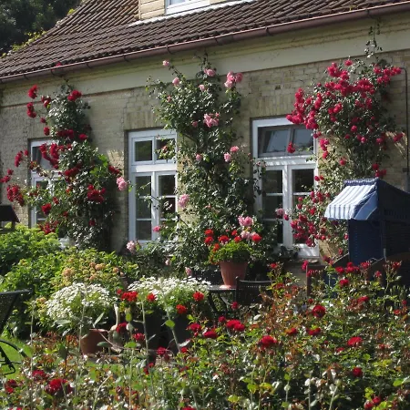Ferienbauernhof Liesenberg Bauernhauswohnung Landliebe Fehmarn