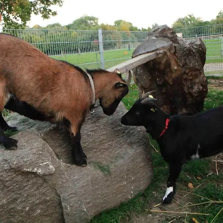 Ferienbauernhof Liesenberg Bauernhauswohnung Landliebe Fehmarn
